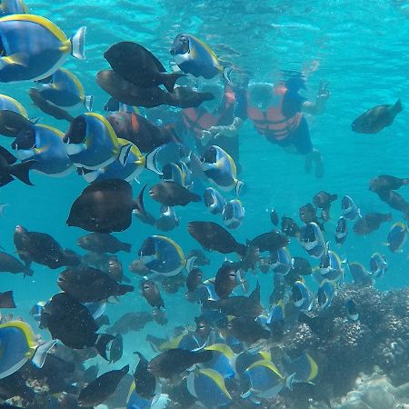 Club Blu Hotel Hulhumalé Eksteriør billede