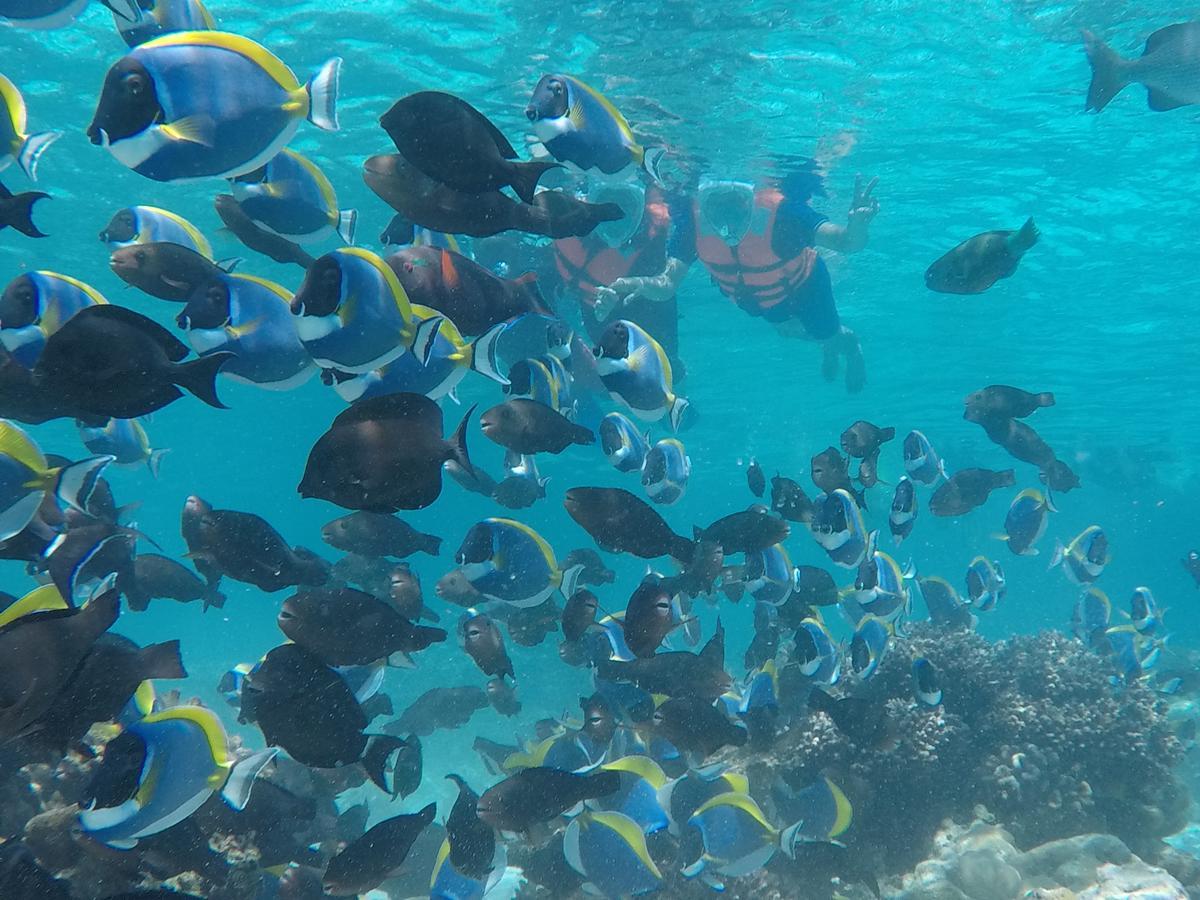 Club Blu Hotel Hulhumalé Eksteriør billede